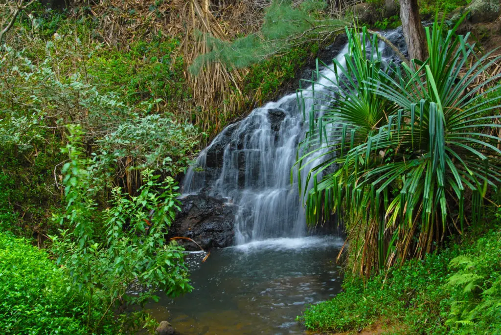 a waterfall in maui 
