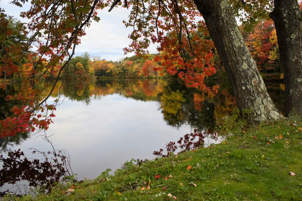 New England fall foliage