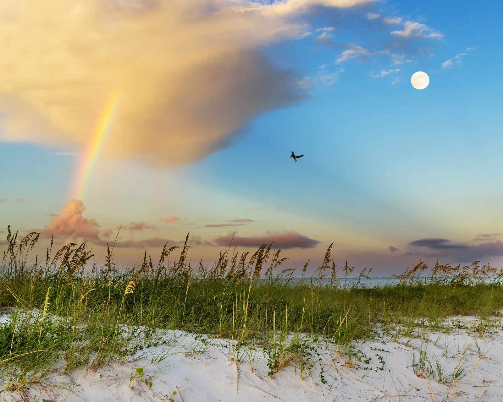 Places to Retire in Mississippi - Beach with oat grass along the ocean with a blue sky and a cloud in the upper left corner with a rainbow coming out of the bottom