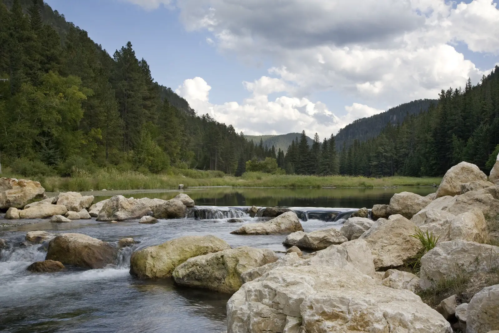 Trout stream and pond in spearfish canyon with green pines and rocks scattered along the edges and in the stream